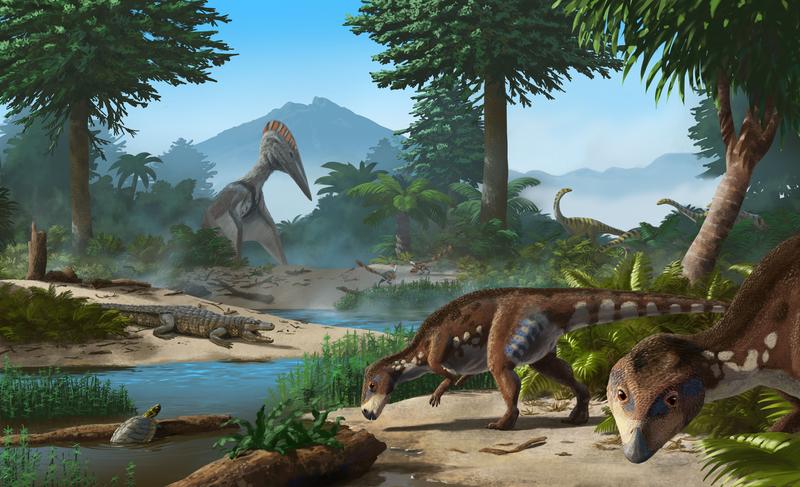 Bewohner der „Insel der Zwerg-Dinosaurier“ im heutigen Transsylvanien in der Kreidezeit: Transylvanosaurus (vorne rechts), sowie Schildkröten, Krokodile, riesige Flugsaurier und andere Zwerg-Dinosaurier.