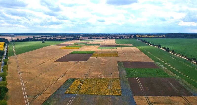 Im Landschaftsexperiment patchCROP arbeiten Forscherinnen und Forscher eng mit einem landwirtschaftlichen Betrieb zusammen. Solche Infrastrukturen können zentrale Elemente in größeren landwirtschaftlichen Reallaboren zu Agrarlandschaften sein.