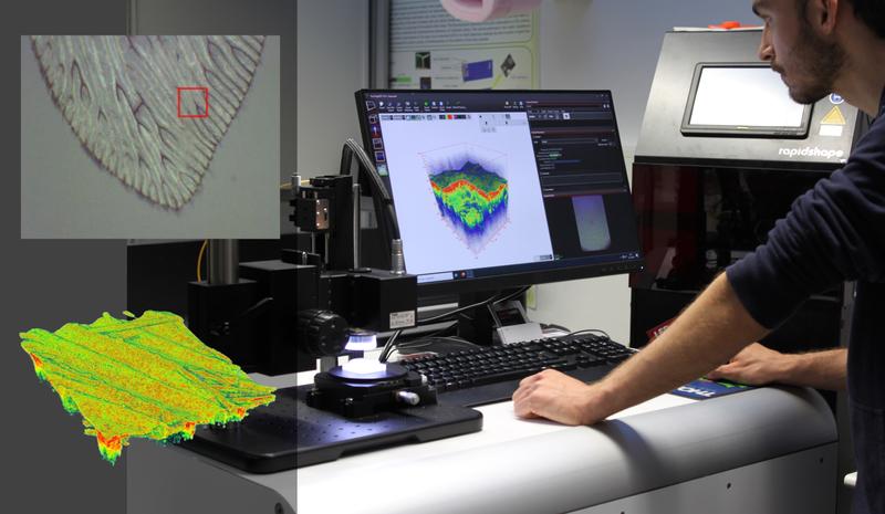 Promovend Samson Frank demonstriert die Funktionalität eines neuen OCT-Systems durch die Visualisierung haarfeiner und tiefenaufgelöster Information eines Libellenflügels