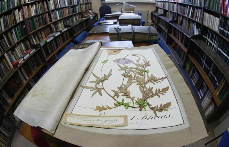 Das „Herbarium Haussknecht“ ist mit etwa 3,5 Millionen Pflanzenbelegen eines der bedeutendsten europäischen Herbarien. 