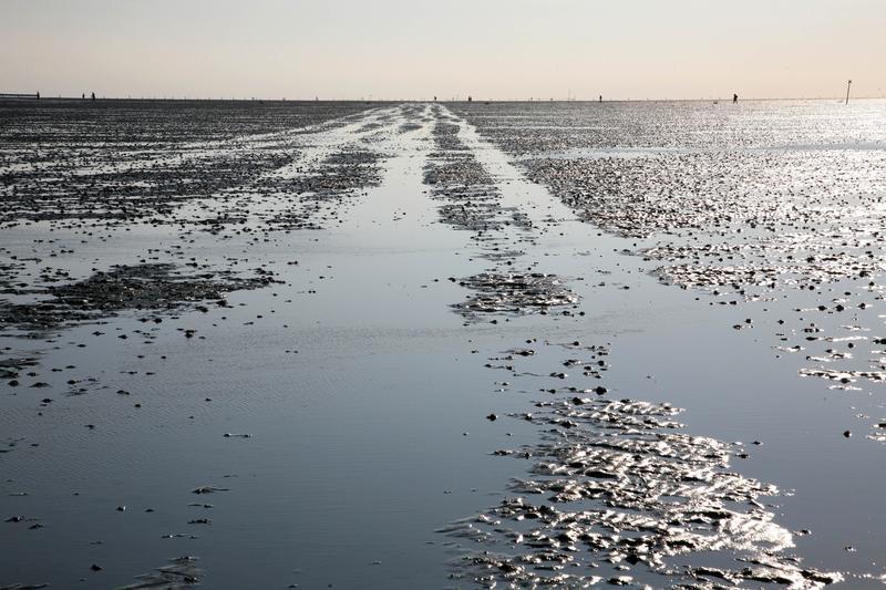 Zwischen Klima- und Energiekrise: das Weltnaturerbe Wattenmeer.