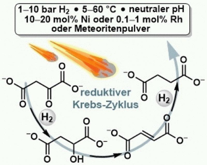 Urtümliche Reaktionswege