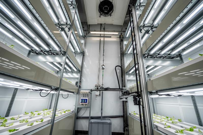 Ein Sensorsystem fährt über die verschiedenen Regalebenen der Anzuchtkammer, um das Wachstum der Salatpflanzen zu analysieren. So können der Licht- und Nährstoffbedarf optimal angepasst werden.