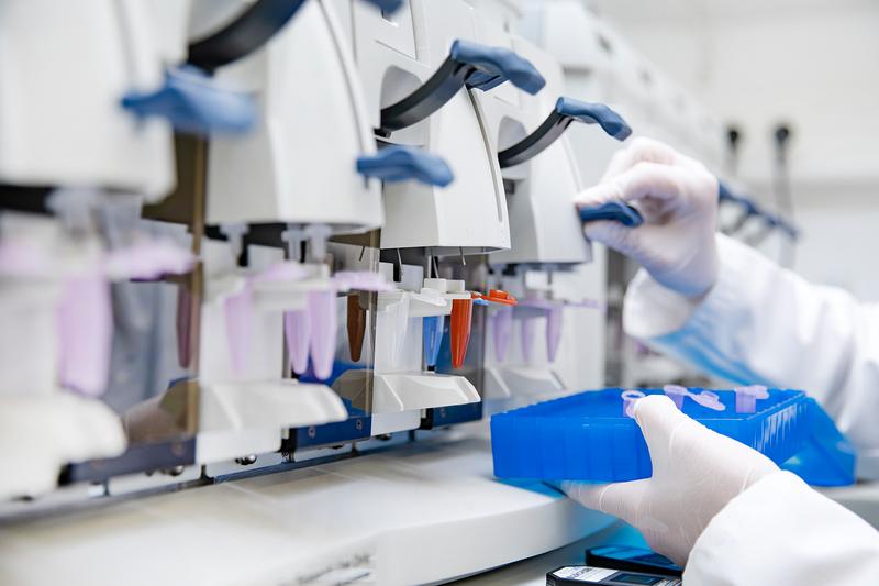 A symbolic image on the topic of research. 