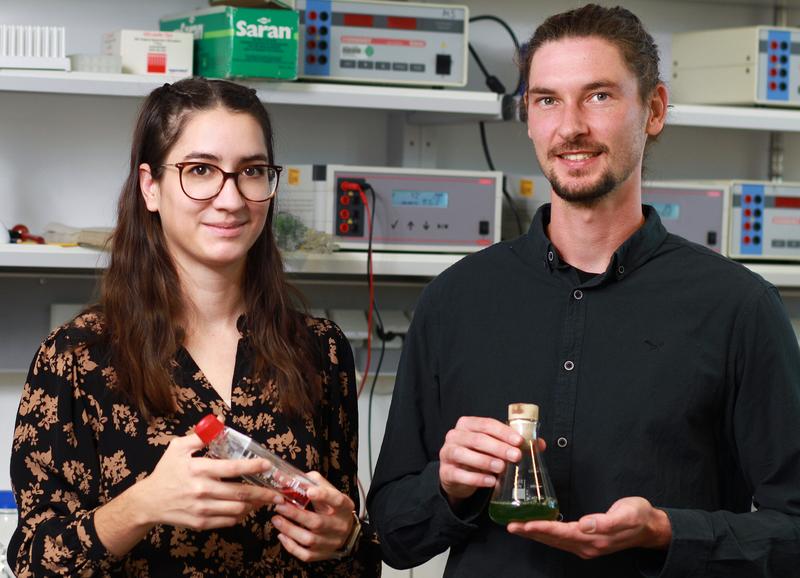 Das Team um Anna Kiefer und Justus Niemeyer setzt auf die Grünalge Chlamydomonas reinhardtii, um das Spikeprotein zu produzieren.