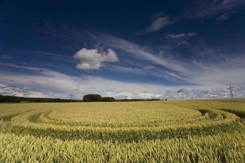 Lebensgrundlage Ernährung: Gesunde Böden sind dafür unabdingbar, mahnt die Deutsche Bundesstiftung Umwelt (DBU) zum Weltbodentag am 5. Dezember.