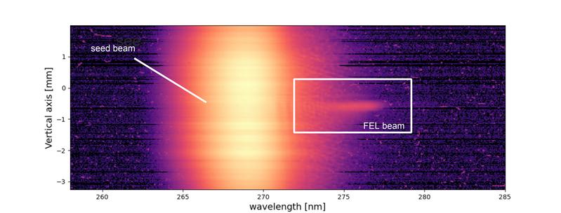 Der erste gut kontrollierbare Laserblitz aus einem Freie-Elektronen-Laser (FEL), der mit einem Plasmabeschleuniger angetrieben wird (rechts neben einem synchron zu den Elektronenpaketen in den FEL geschossenen Lichtpuls) 