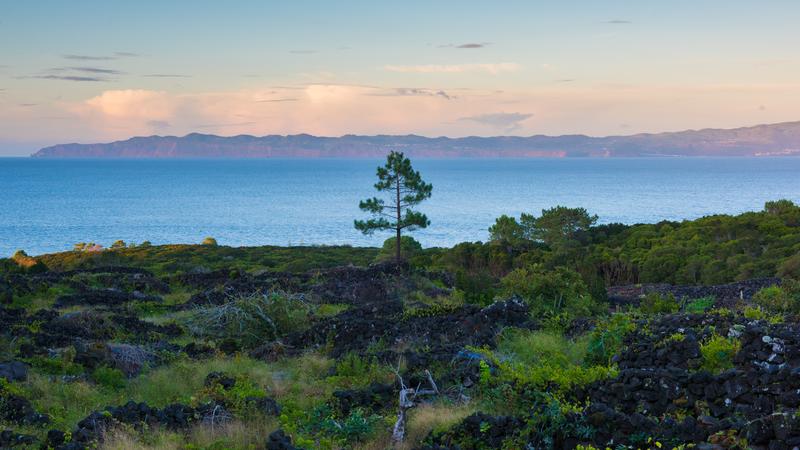 This landscape in Portugal symbols the interplay between water and the carbon cycle.