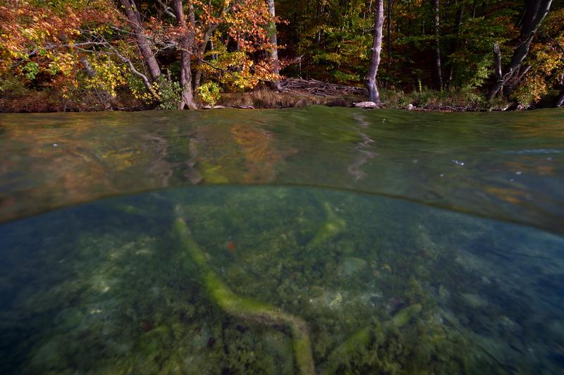 Binnengewässer in der Biodiversitätspolitik mit Landflächen und Meeren gleichstellen.