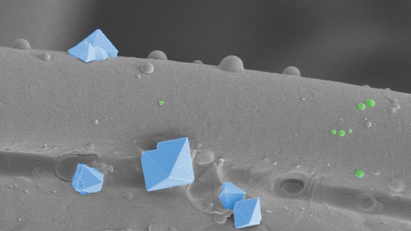 Nur wenige Viren schaffen es bis zur innersten Schicht einer Stoffmaske. Im Bild eine Textilfaser mit Salzkristallen (hellblau) und rund 100 Nanometer-grosse Viren (grün). (Rasterelektronenmikroskopie, nachkoloriert)