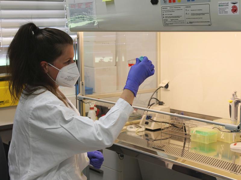Anja Ramsperger M.Sc. untersucht in einem Labor der Universität Bayreuth, ob Mikroplastikpartikel biologische Barrieren im Zellkulturmodell überwinden können.
