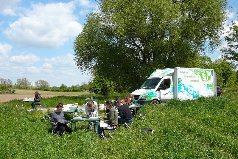 Freiwillige beim Auswerten einer Makrozoobenthos-Probe.