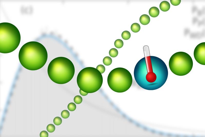 Eines der Teilchen dient als "Thermometer", das gesamte Vielteilchen-Ensemble wird am Computer simuliert.