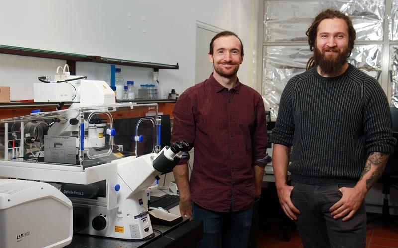 Das Team um Max Carlsson (rechts), Erstautor der Studie, und Philipp Demuth (Co-Autor der Studie) hat den Mechanismus aufgedeckt. 