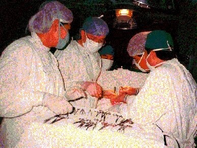 Ein OP-Team aus der Kinderchirurugie