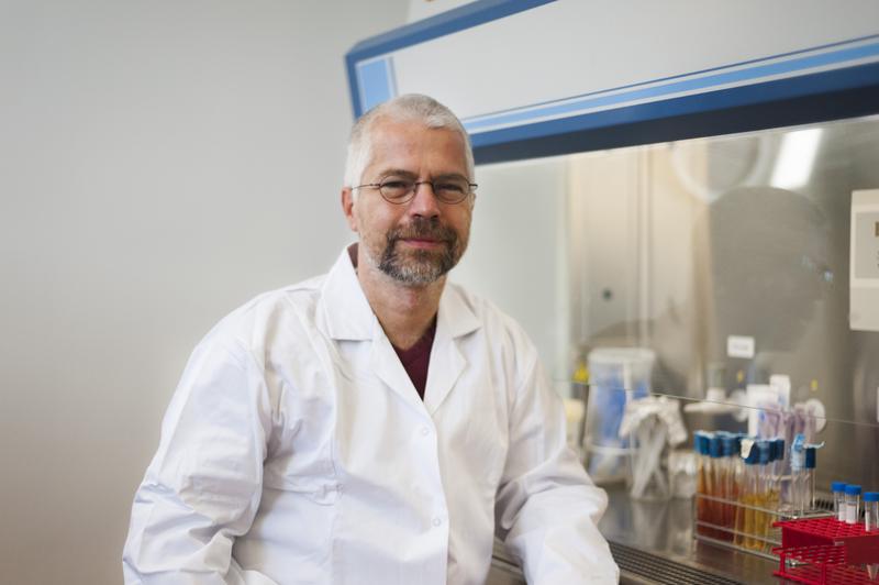 Prof. Dr. Dirk Benndorf lehrt am Fachbereich Angewandte Biowissenschaften und Prozesstechnik