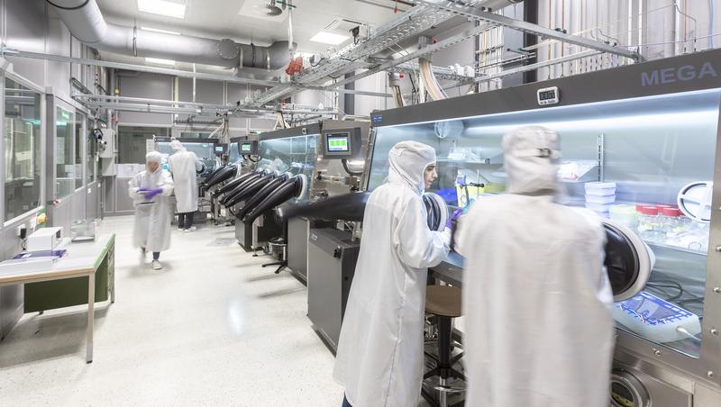 Prozessierung von Perowskit-Silicium-Tandemsolarzellen am Fraunhofer ISE. 