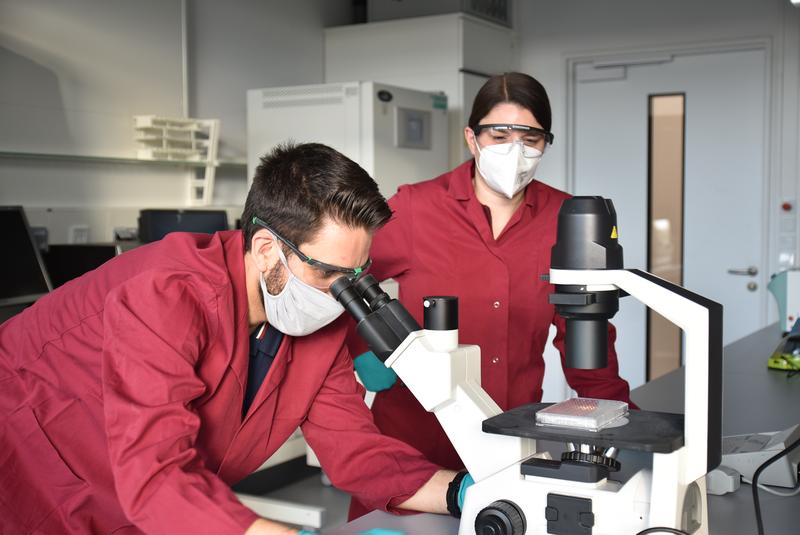 Dr. Kornelia Hardes (rechts) und Dr. Markus Oberpaul erforschen gemeinsam mit ihren Kolleg*innen vom LOEWE-Zentrum TBG und dem Fraunhofer-Institut IME, welche Naturstoffe Grippeviren hemmen können.
