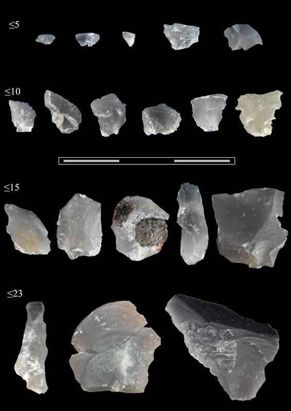 Overview of the flint chips from Schöningen, which were created as "waste" during the re-sharpening of knife-like tools. They are sorted by size in millimeters. In the middle a scale of 3cm.