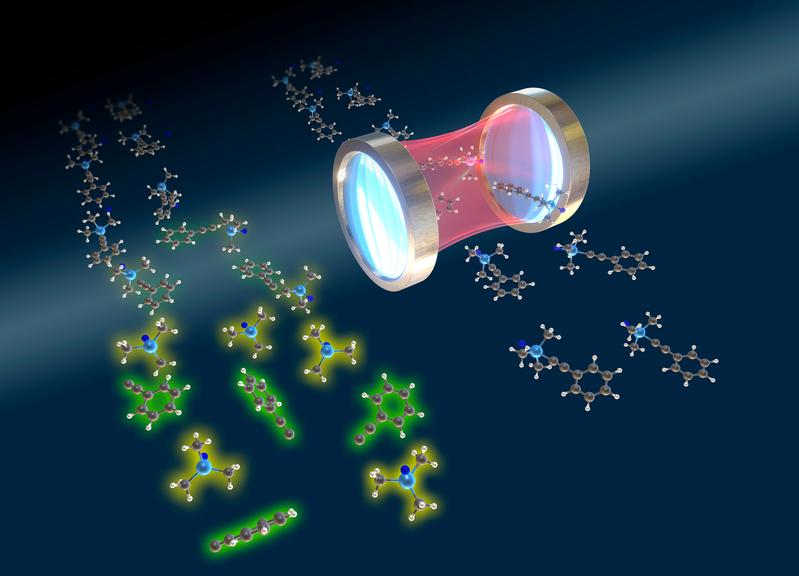 Starke resonante Schwingungskopplung kann chemische Reaktionen hemmen. Eine starke Resonanzkopplung zwischen Hohlraum und Schwingungsmoden kann selektiv eine chemische Reaktion hemmen.