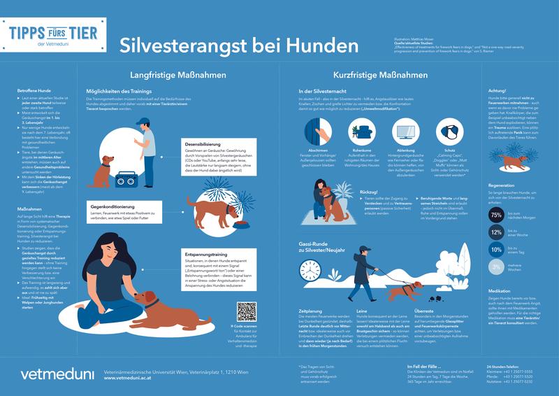 Tipps Fürs Tier: Silvesterangst bei Hunden