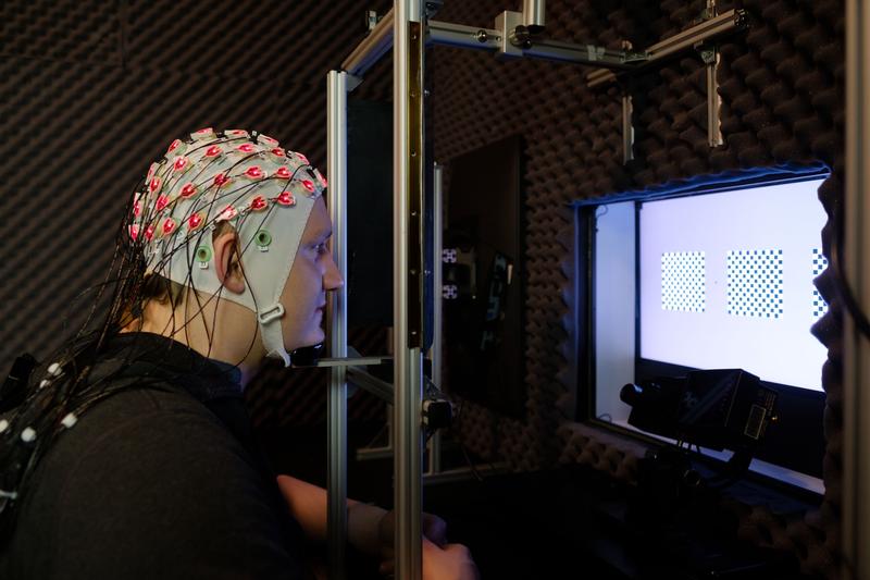 Probanden mit EEG-Kappe helfen der Neurophysik, Hirnaktivitäten zu studieren. 