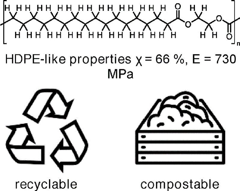 Biologisch abbaubarer Polyester mit ähnlichen Eigenschaften wie hochdichtes Polyethylen