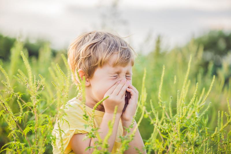 Allergische Rhinokonjunktivitis