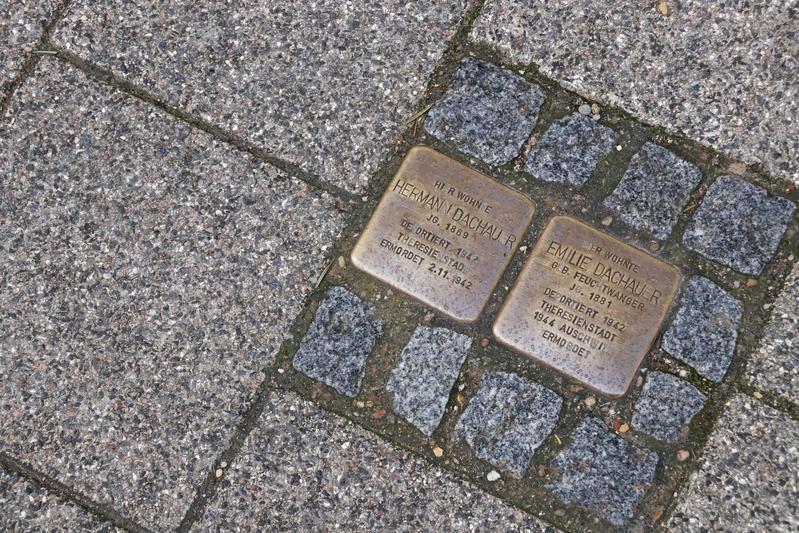 Bundesweit erinnern sogenannte Stolpersteine an das Schicksal von Opfern des Nationalsozialismus - wie etwa hier in Eichstätt. 
