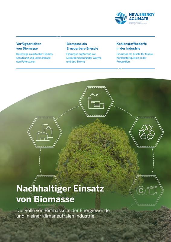 Cover: Diskussionspapier nachhaltiger Einsatz von Biomasse