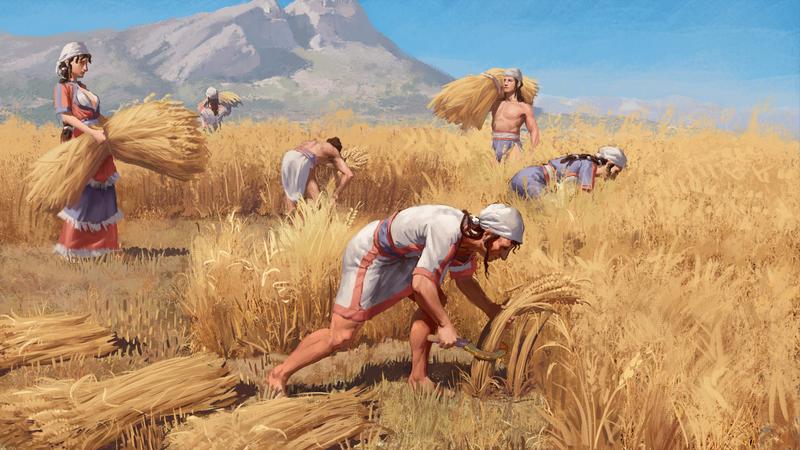 Lebensbild: Bronzezeitliche Familie bei der Getreideernte.