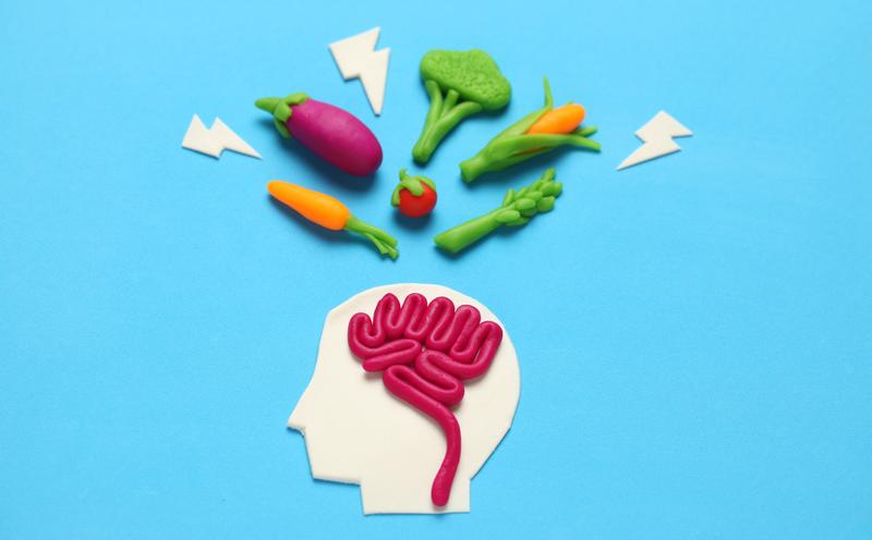 The brain controls our eating behavior.
