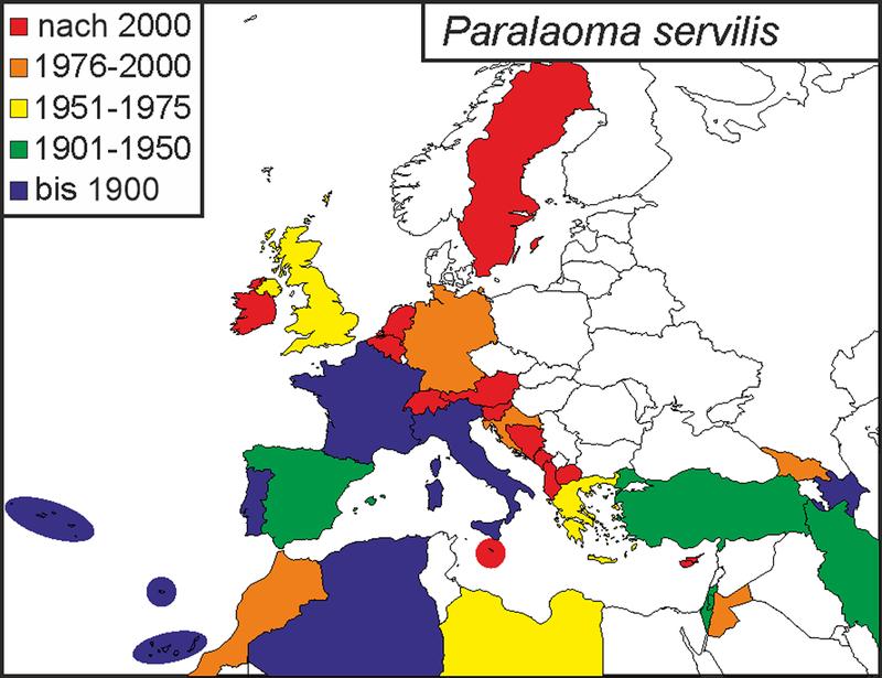 The study demonstrates the strong spread of the land snail species Paralaoma servilis. It was introduced from the Australian region and has become increasingly established in the Mediterranean region to northern Europe over the past century. 
