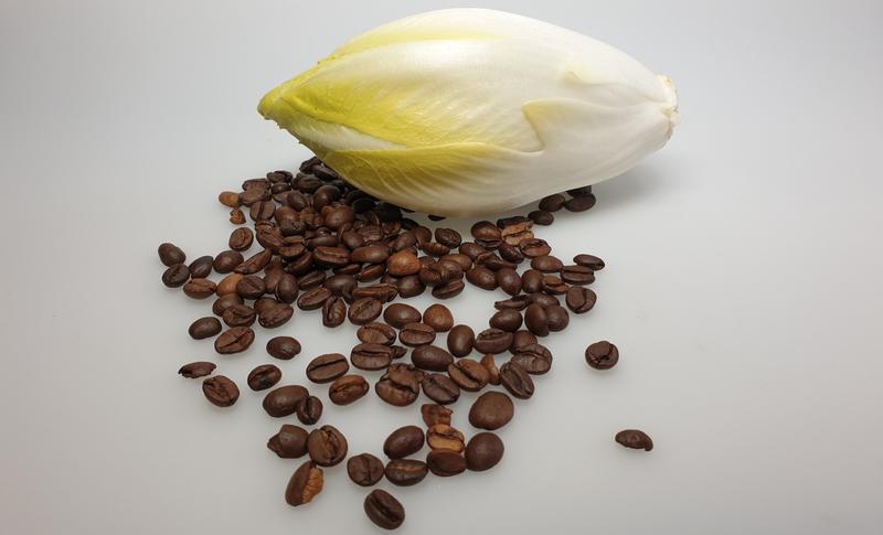 Chicorée und Röstkaffee enthalten unterschiedliche Bitterstoffe