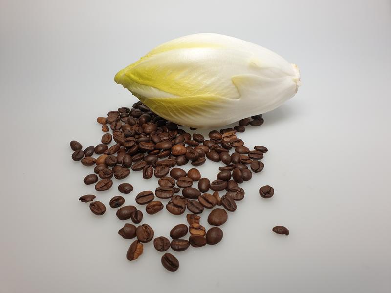 Chicory and roasted coffee contain different bitter substances