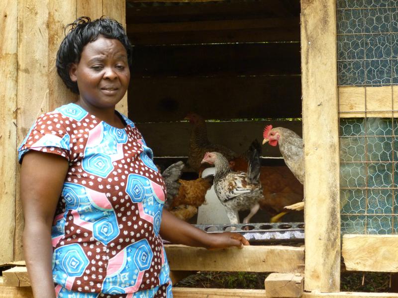 Exporte von Geflügelfleisch aus Europa stehen häufig in der Kritik, dem lokalen Kleinbauernsektor in Afrika zu schaden. 