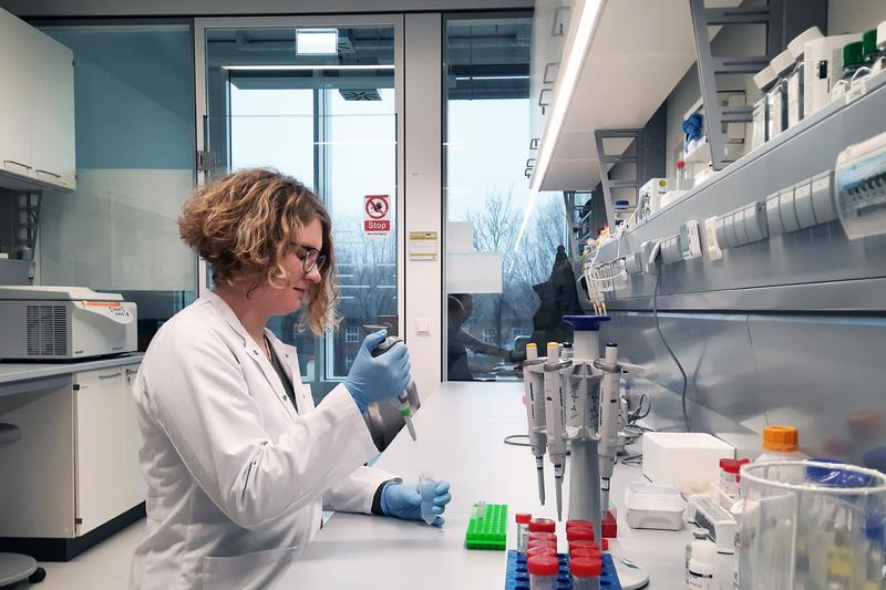 Together with colleagues, Dr Sophie Steinhäuser was able to describe an unknown mechanism for AML with IDH1 mutation, which causes a faulty spatial arrangement of the DNA structure and thus leading to the activation of a specific cancer-promoting gene.