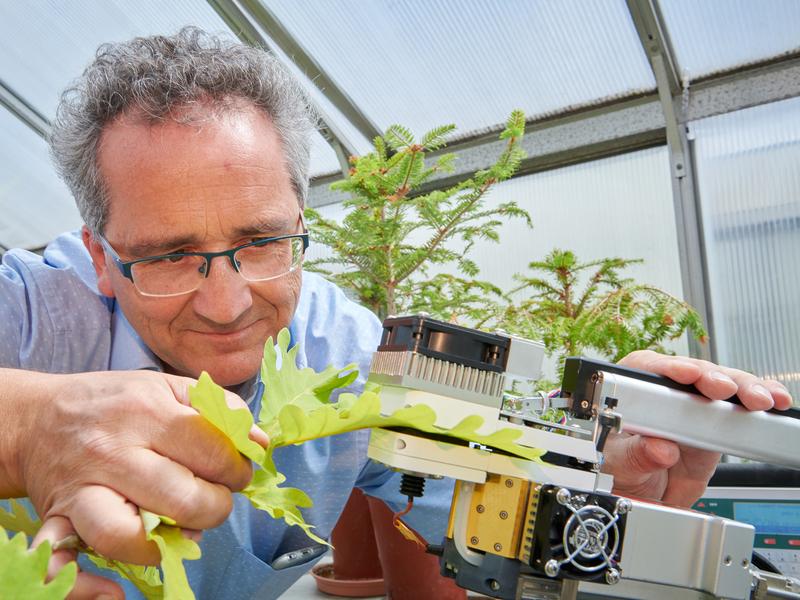 Bei der Messung: Privatdozent Dr. Jürgen Burkhardt vom Institut für Nutzpflanzenwissenschaften und Ressourcenschutz der Universität Bonn untersucht die für die Mikroorganismen wichtigen Feuchtigkeitsbedingungen auf der Blattoberfläche. 