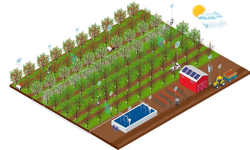 Concept illustration of the fruit growing farm of the future in the Alte Land – digital networking, autonomous machines, and AI-based evaluation algorithms are being researched on the experimental field in the SAMSON project 