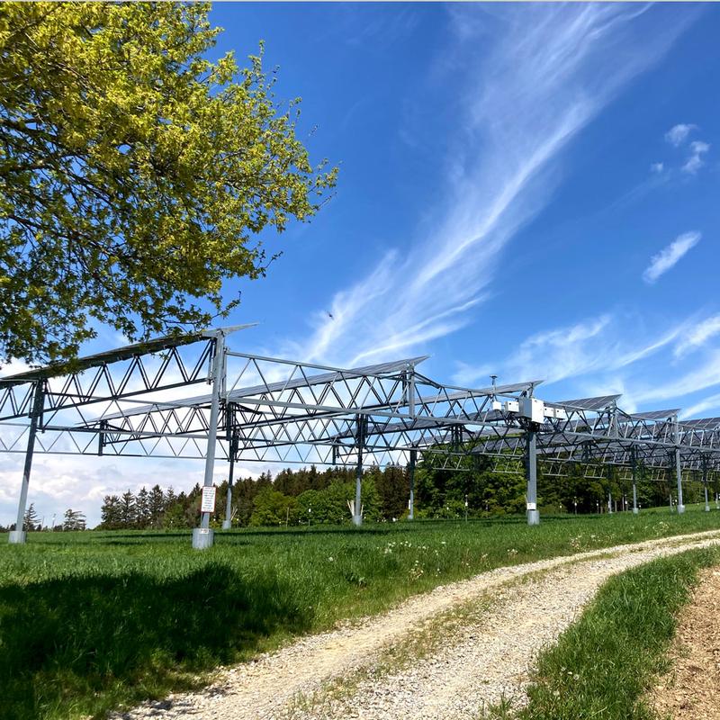 Hoch aufgeständerte Agri-PV Anlagen brauchen dringend eine Aussicht auf angemessene Förderung.