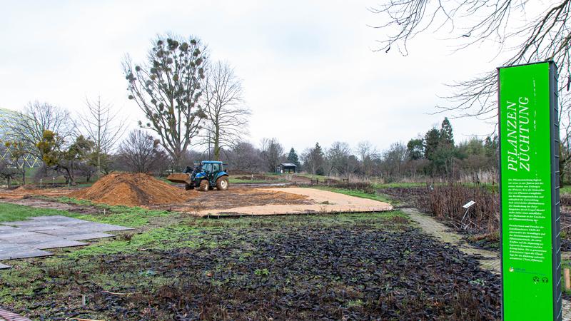 Im Botanischen Garten entsteht eine neue Forschungsfläche. Dort werden die Nutzpflanzenforscher der HHU unter anderem neue Getreidesorten außerhalb der Gewächshäuser untersuchen.