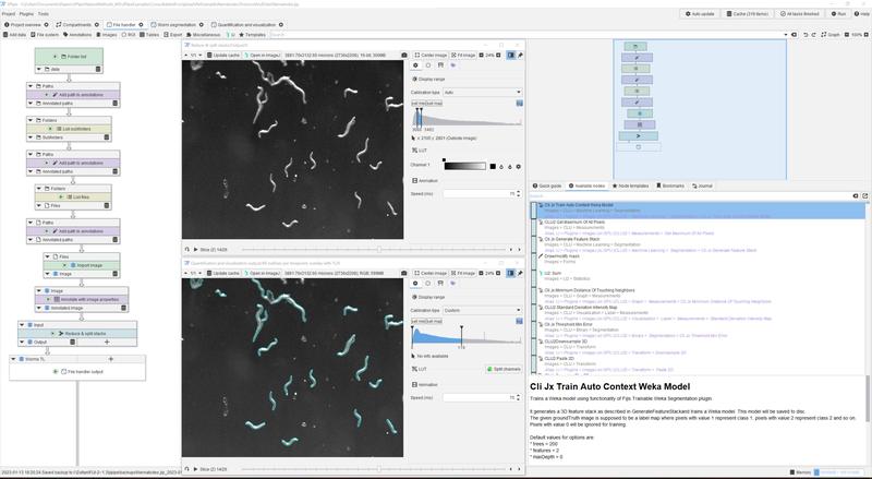 Screenshot einer JIPipe-Analyse zum Überleben von Nematoden. 