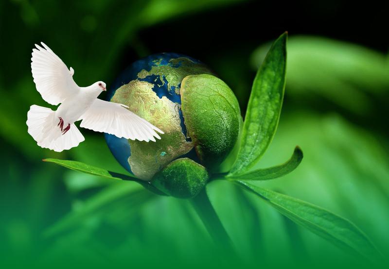 Friedenssicherung durch Klimaschutz: Zum Jubiläum 375 Jahre Westfälischer Friedens geht es bei einem internationalen Kongress der Deutschen Bundesstiftung Umwelt (DBU) darum, wie Natur und Ressourcen als Friedensgrundlage zu bewahren sind.