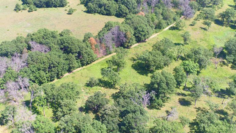 Grasland in Cedar Creek, Minnesota (USA) – eines der ältesten ehemaligen Felder oben links sowie Reste einer Grassteppe unten rechts.