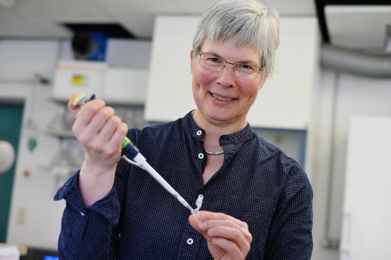 Prof. Dr. Karin Römisch