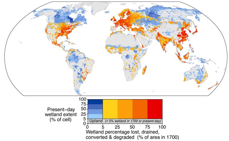 Verlust der Feuchtgebiete weltweit in den vergangenen 300 Jahren.