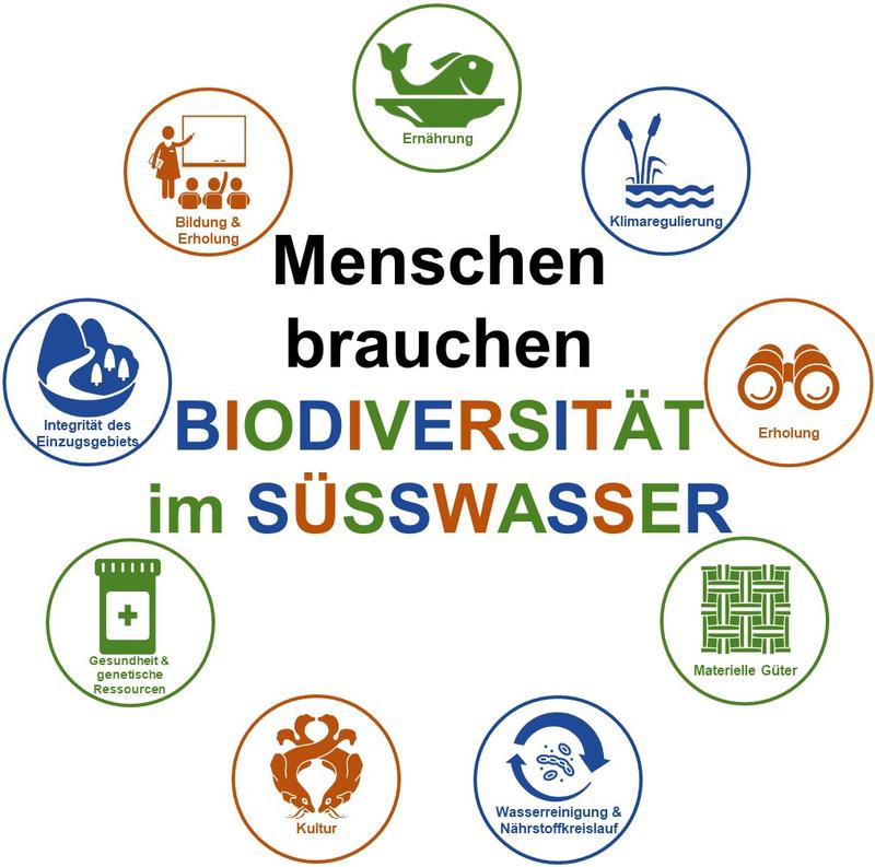 9 Gründe warum wir Menschen die Biodiversität im Süßwasser zwingend brauchen.