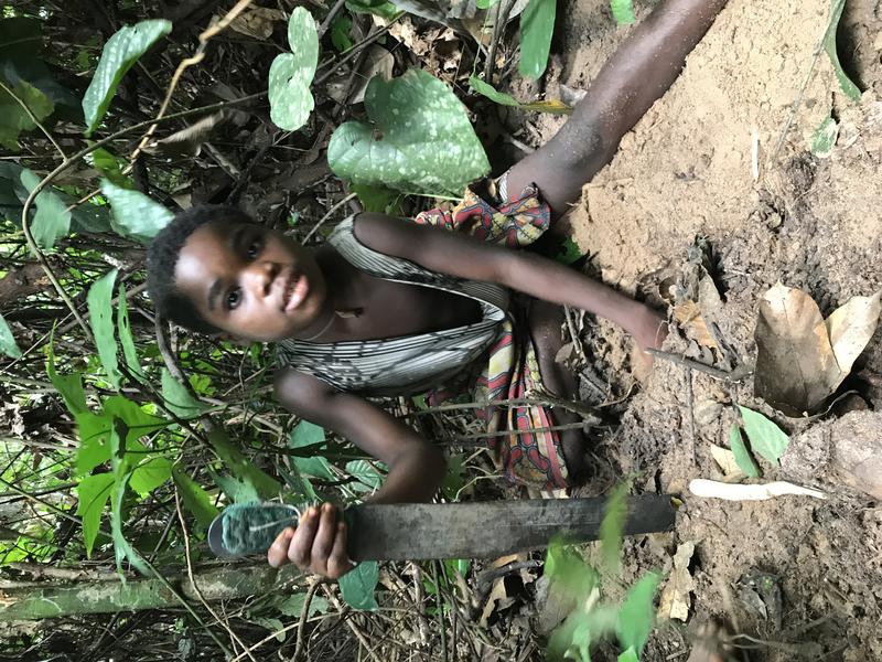 Ein BaYaka-Mädchen gräbt Wurzelknollen aus