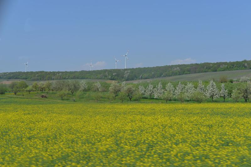 An Landschaften werden vielfältige Anforderungen gestellt. 