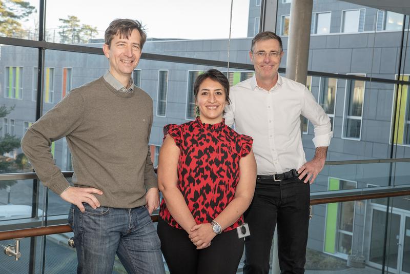 Neue Erkenntnisse in der Epilsepsieforschung & Optimierung der Wirkstoffwirkung: (v. li) Prof. Dirk Dietrich, Dr. Amira Hanafy und Prof. Alf Lamprecht gehen mit einem neuen Analyse-Verfahren Lecks in der Blut-Hirn-Schranke auf den Grund: